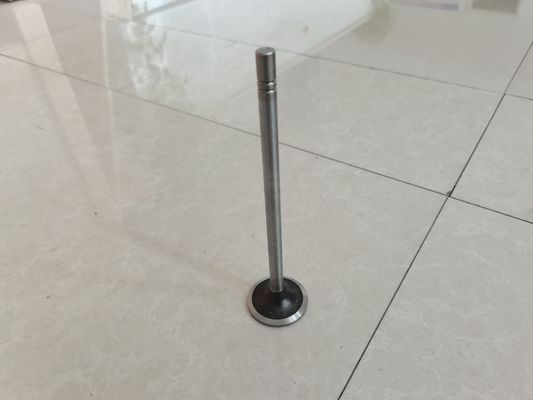 أجزاء صمام عادم المحرك 252-7802 224-3030 حسب الطلب